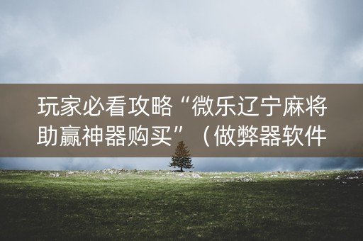玩家必看攻略“微乐辽宁麻将助赢神器购买”（做弊器软件下载)