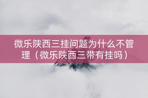 微乐陕西三挂问题为什么不管理（微乐陕西三带有挂吗）