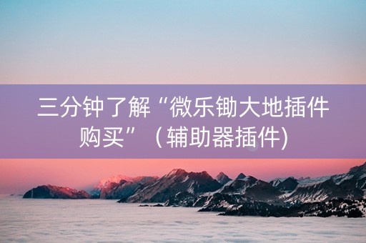 三分钟了解“微乐锄大地插件购买”（辅助器插件)
