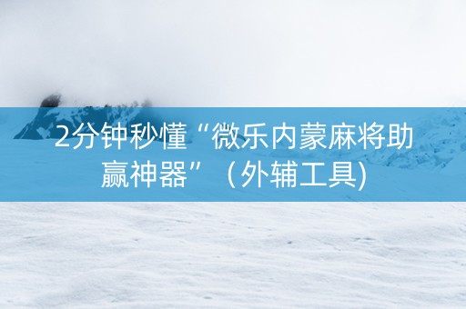 2分钟秒懂“微乐内蒙麻将助赢神器”（外辅工具)