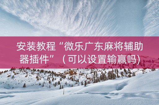 安装教程“微乐广东麻将辅助器插件”（可以设置输赢吗)