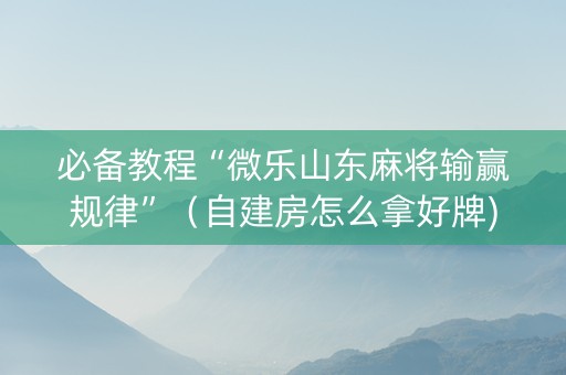 必备教程“微乐山东麻将输赢规律”（自建房怎么拿好牌)