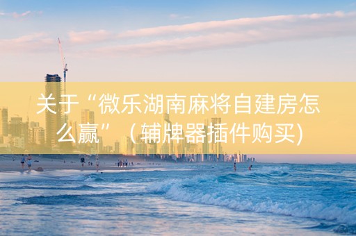 关于“微乐湖南麻将自建房怎么赢”（辅牌器插件购买)