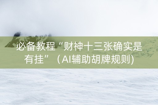 必备教程“财神十三张确实是有挂”（AI辅助胡牌规则)