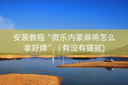 安装教程“微乐内蒙麻将怎么拿好牌”（有没有猫腻)