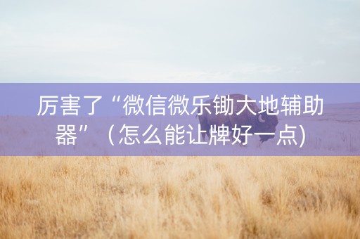 厉害了“微信微乐锄大地辅助器”（怎么能让牌好一点)