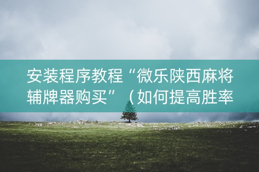 安装程序教程“微乐陕西麻将辅牌器购买”（如何提高胜率)