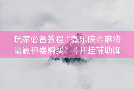 玩家必备教程“微乐陕西麻将助赢神器购买”（开挂辅助脚本)