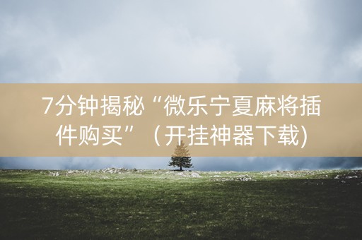 7分钟揭秘“微乐宁夏麻将插件购买”（开挂神器下载)