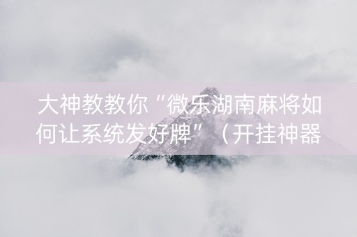 大神教教你“微乐湖南麻将如何让系统发好牌”（开挂神器下载)