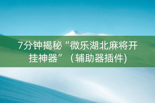 7分钟揭秘“微乐湖北麻将开挂神器”（辅助器插件)