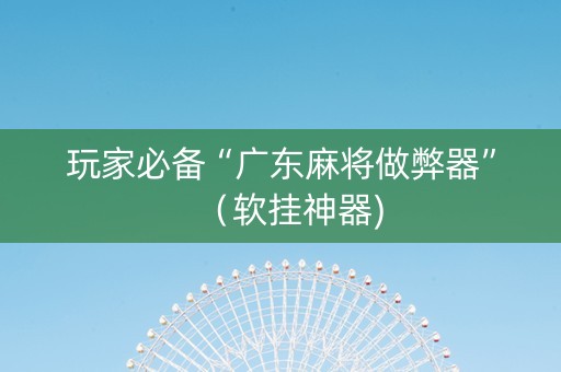 玩家必备“广东麻将做弊器”（软挂神器)