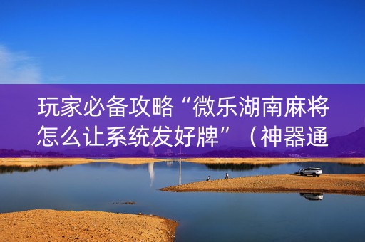 玩家必备攻略“微乐湖南麻将怎么让系统发好牌”（神器通用版)