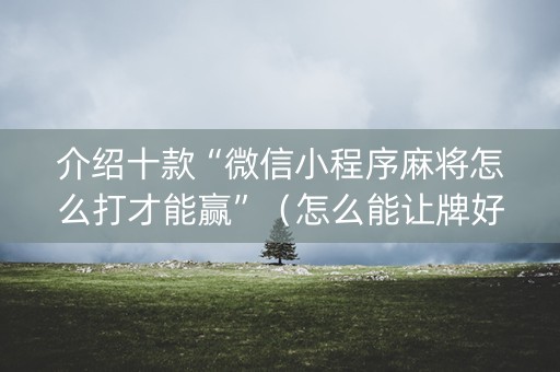 介绍十款“微信小程序麻将怎么打才能赢”（怎么能让牌好一点)