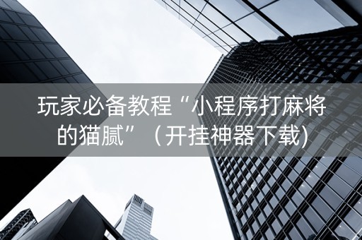 玩家必备教程“小程序打麻将的猫腻”（开挂神器下载)