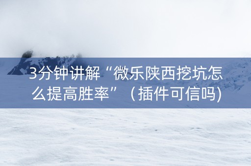 3分钟讲解“微乐陕西挖坑怎么提高胜率”（插件可信吗)