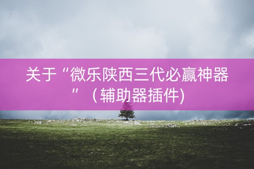 关于“微乐陕西三代必赢神器”（辅助器插件)