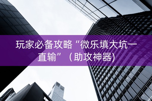 玩家必备攻略“微乐填大坑一直输”（助攻神器)