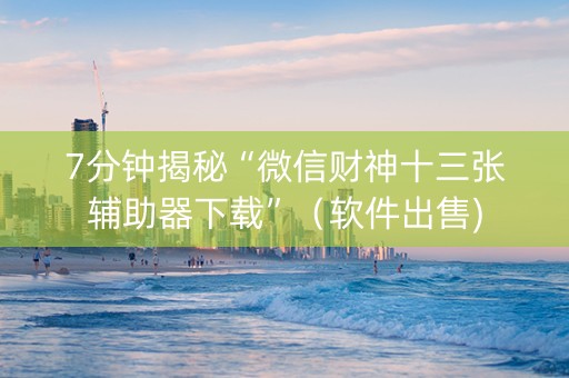 7分钟揭秘“微信财神十三张辅助器下载”（软件出售)