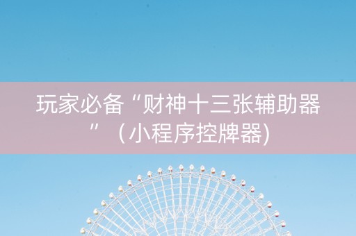 玩家必备“财神十三张辅助器”（小程序控牌器)