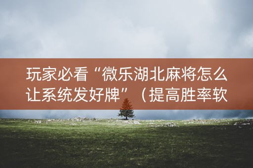 玩家必看“微乐湖北麻将怎么让系统发好牌”（提高胜率软件)