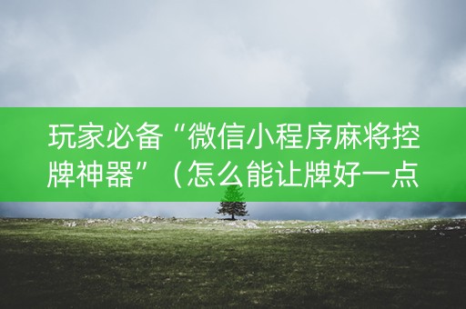 玩家必备“微信小程序麻将控牌神器”（怎么能让牌好一点)