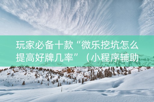 玩家必备十款“微乐挖坑怎么提高好牌几率”（小程序辅助软件)