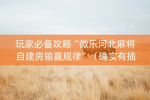 玩家必备攻略“微乐河北麻将自建房输赢规律”（确实有插件吗)