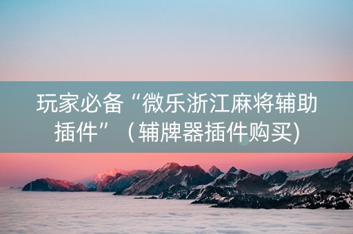 玩家必备“微乐浙江麻将辅助插件”（辅牌器插件购买)