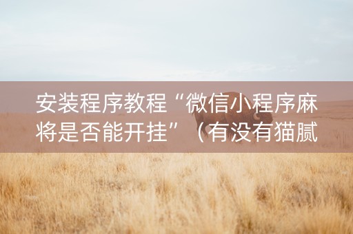 安装程序教程“微信小程序麻将是否能开挂”（有没有猫腻)