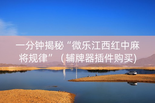 一分钟揭秘“微乐江西红中麻将规律”（辅牌器插件购买)