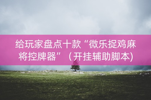 给玩家盘点十款“微乐捉鸡麻将控牌器”（开挂辅助脚本)
