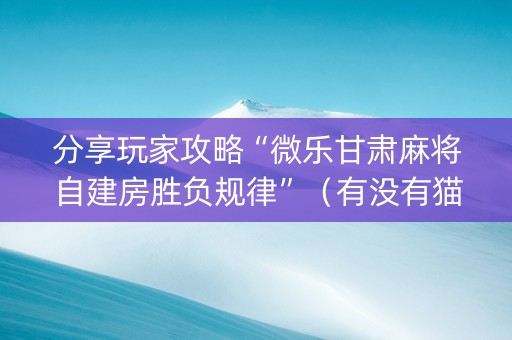 分享玩家攻略“微乐甘肃麻将自建房胜负规律”（有没有猫腻)