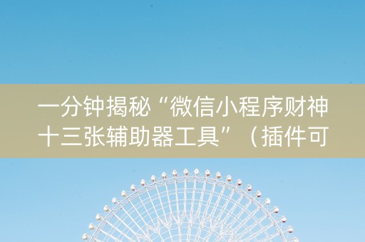 一分钟揭秘“微信小程序财神十三张辅助器工具”（插件可信吗)