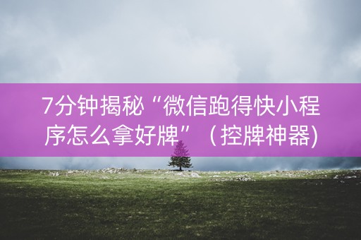 7分钟揭秘“微信跑得快小程序怎么拿好牌”（控牌神器)