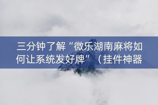 三分钟了解“微乐湖南麻将如何让系统发好牌”（挂件神器)