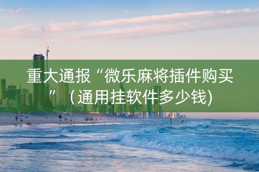 重大通报“微乐麻将插件购买”（通用挂软件多少钱)