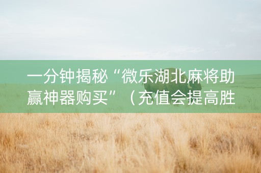 一分钟揭秘“微乐湖北麻将助赢神器购买”（充值会提高胜率么)