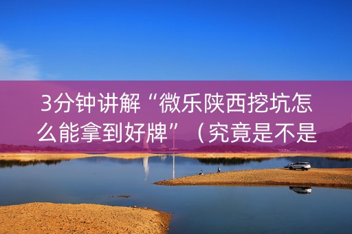 3分钟讲解“微乐陕西挖坑怎么能拿到好牌”（究竟是不是有挂)