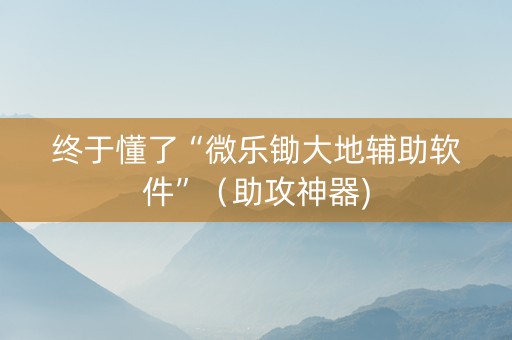 终于懂了“微乐锄大地辅助软件”（助攻神器)