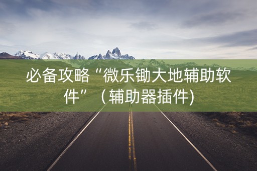 必备攻略“微乐锄大地辅助软件”（辅助器插件)
