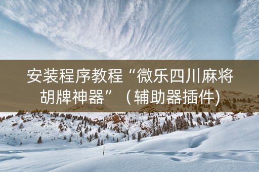 安装程序教程“微乐四川麻将胡牌神器”（辅助器插件)