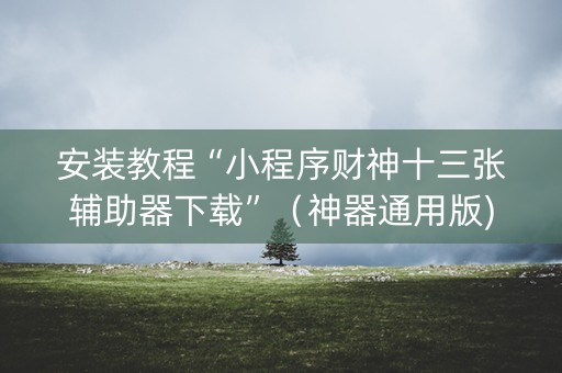 安装教程“小程序财神十三张辅助器下载”（神器通用版)