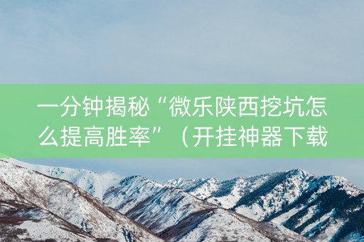 一分钟揭秘“微乐陕西挖坑怎么提高胜率”（开挂神器下载)