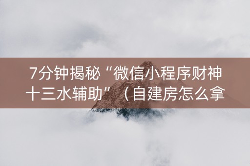 7分钟揭秘“微信小程序财神十三水辅助”（自建房怎么拿好牌)