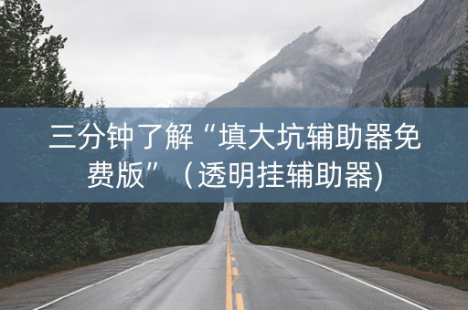 三分钟了解“填大坑辅助器免费版”（透明挂辅助器)