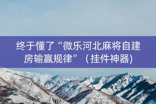 终于懂了“微乐河北麻将自建房输赢规律”（挂件神器)