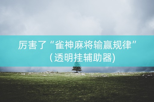 厉害了“雀神麻将输赢规律”（透明挂辅助器)
