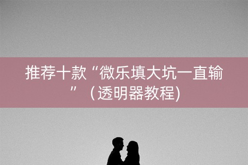 推荐十款“微乐填大坑一直输”（透明器教程)