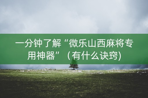 一分钟了解“微乐山西麻将专用神器”（有什么诀窍)